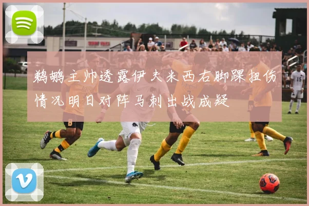 鹈鹕主帅透露伊夫米西右脚踝扭伤情况明日对阵马刺出战成疑