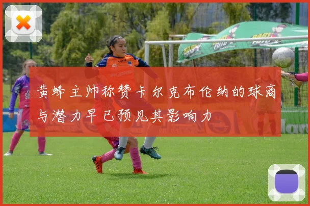 黄蜂主帅称赞卡尔克布伦纳的球商与潜力早已预见其影响力