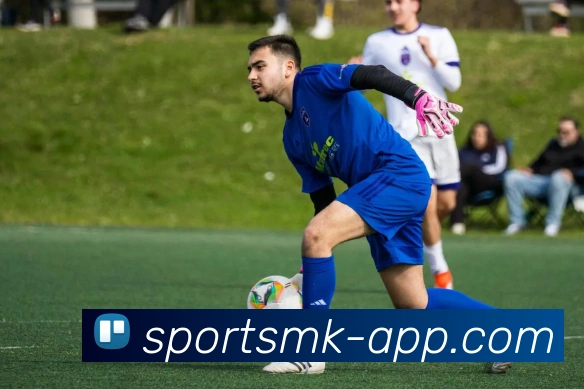 MK体育APP 封面图